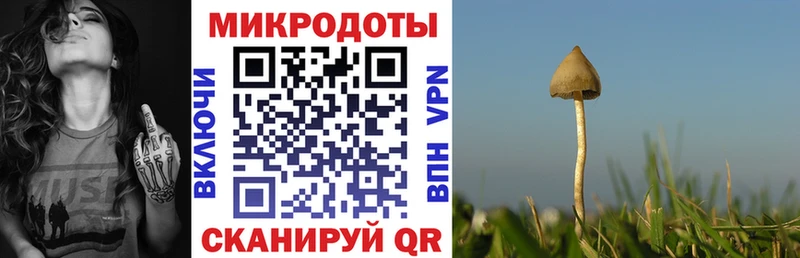 Псилоцибиновые грибы Psilocybe  Карабаш 