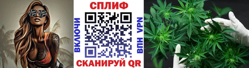 Канабис Amnesia  где можно купить наркотик  Карабаш 